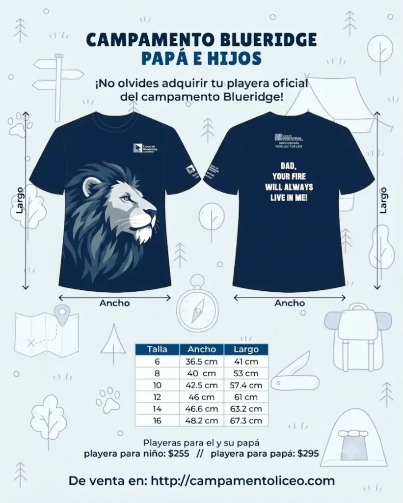 Playera Blueridge