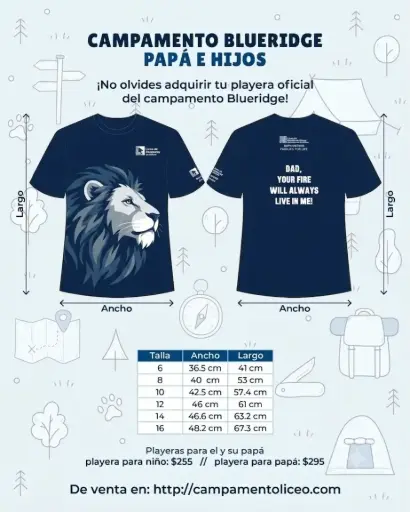 Playera Blueridge